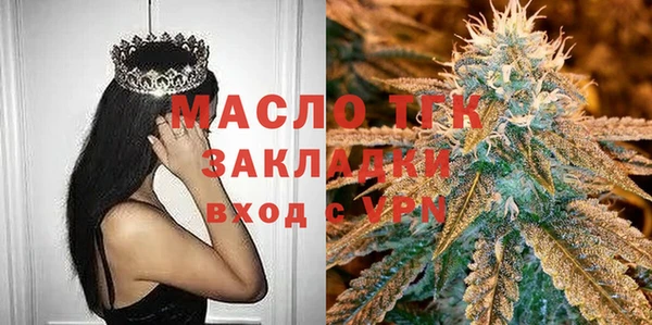 индика Абаза