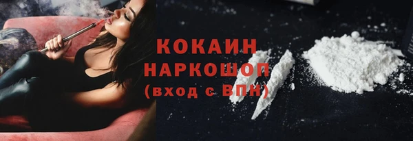 индика Абаза