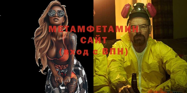индика Абаза