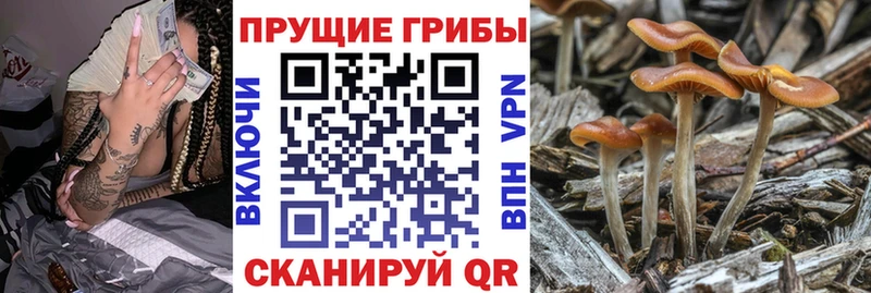 Псилоцибиновые грибы ЛСД  купить  сайты  Южноуральск 